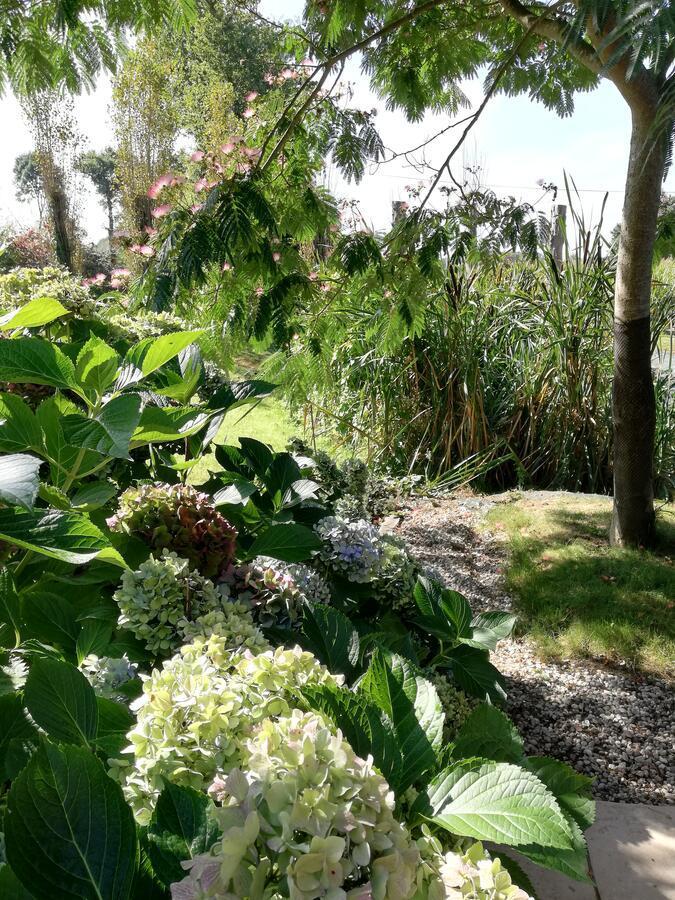 Les Petites Chapelles Bed & Breakfast Saint-Pierre-de-Plesguen Luaran gambar